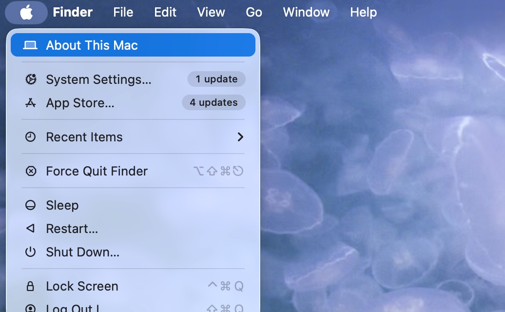 Step 1: About This Mac