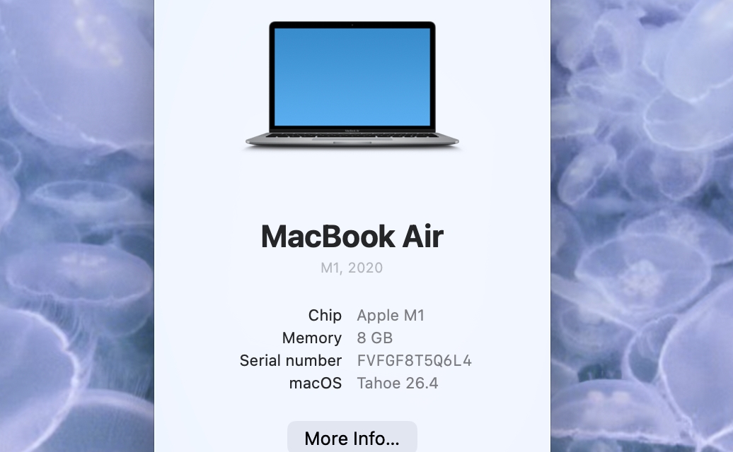 Step 2: Check chip type