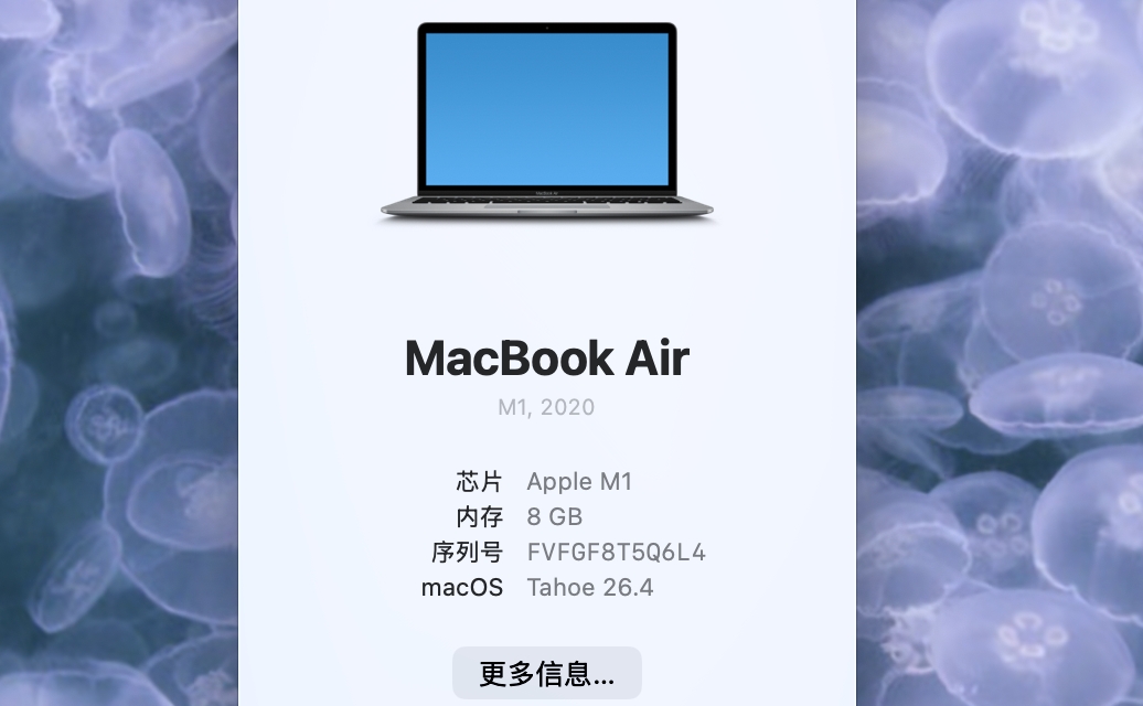 第二步：查看芯片类型